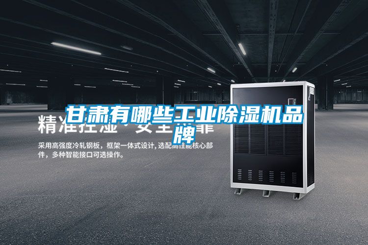 甘肃有哪些工业除湿机品牌