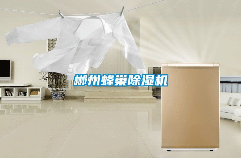 郴州蜂巢除湿机