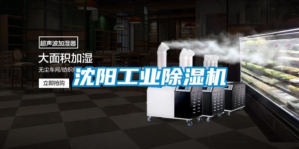 沈阳工业除湿机