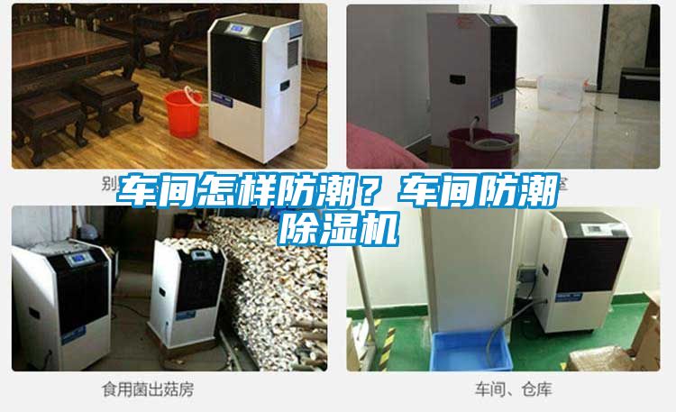 车间怎样防潮？车间防潮除湿机
