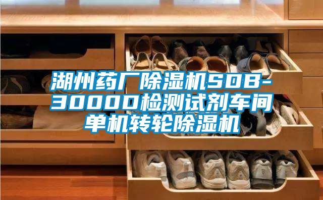 湖州药厂除湿机SDB-3000D检测试剂车间单机转轮除湿机