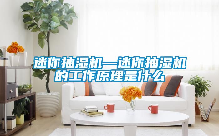 迷你抽湿机—迷你抽湿机的工作原理是什么
