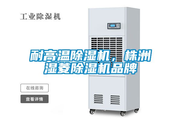 耐高温除湿机，株洲湿菱除湿机品牌