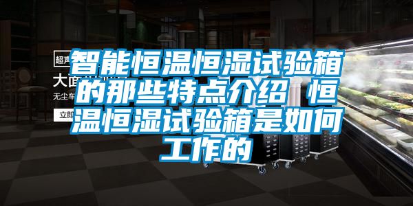 智能恒温恒湿试验箱的那些特点介绍 恒温恒湿试验箱是如何工作的