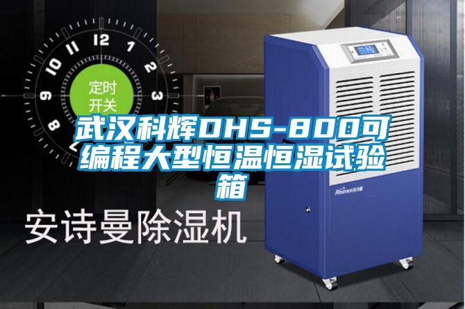 武汉科辉DHS-800可编程大型恒温恒湿试验箱
