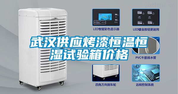 武汉供应烤漆恒温恒湿试验箱价格