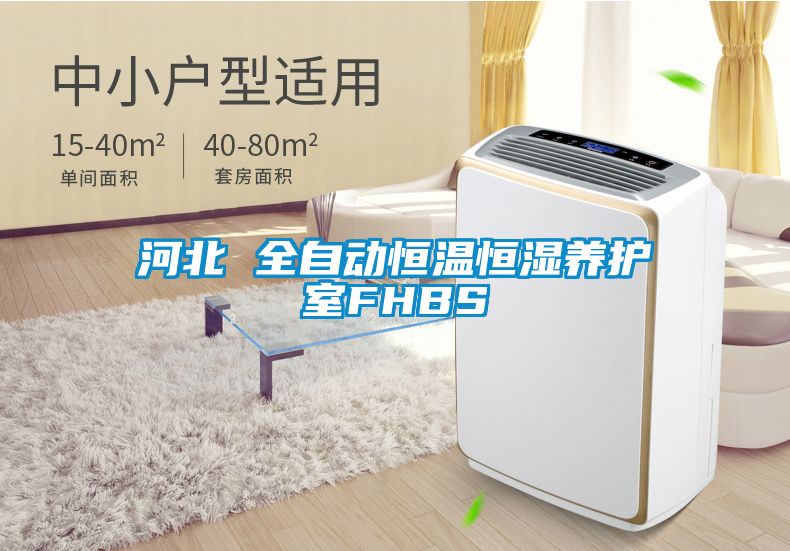 河北 全自动恒温恒湿养护室FHBS