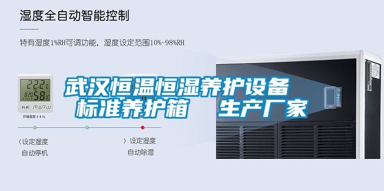 武汉恒温恒湿养护设备  标准养护箱  生产厂家