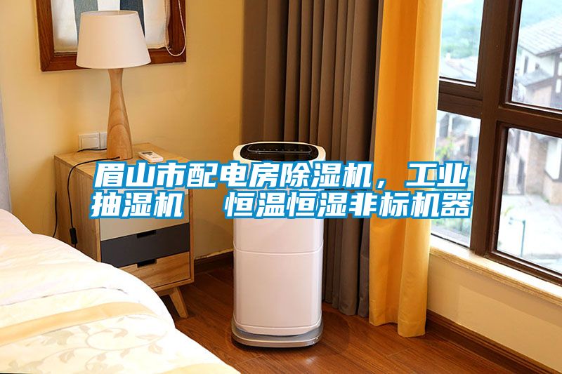 眉山市配电房除湿机，工业抽湿机  恒温恒湿非标机器