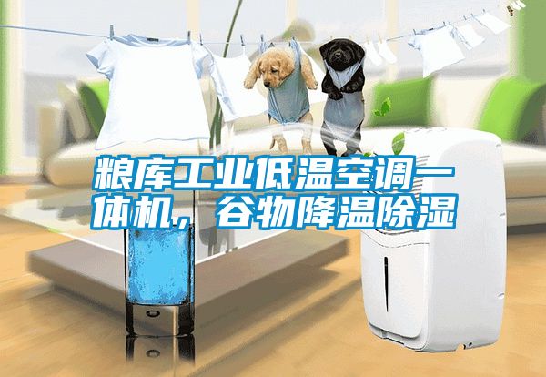 粮库工业低温空调一体机，谷物降温除湿