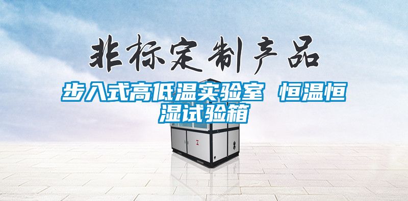 步入式高低温实验室 恒温恒湿试验箱