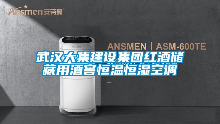 武汉大集建设集团红酒储藏用酒窖恒温恒湿空调