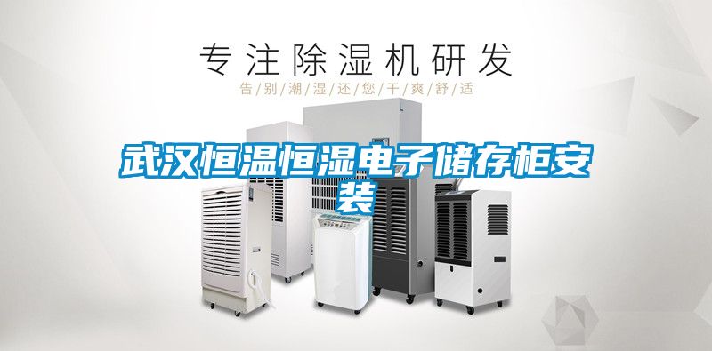 武汉恒温恒湿电子储存柜安装
