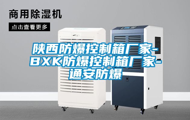 陕西防爆控制箱厂家-BXK防爆控制箱厂家-通安防爆