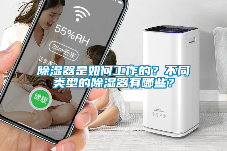 除湿器是如何工作的？不同类型的除湿器有哪些？