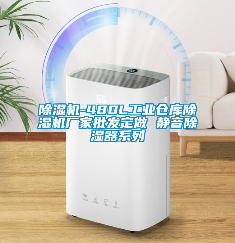 除湿机-480L工业仓库除湿机厂家批发定做 静音除湿器系列