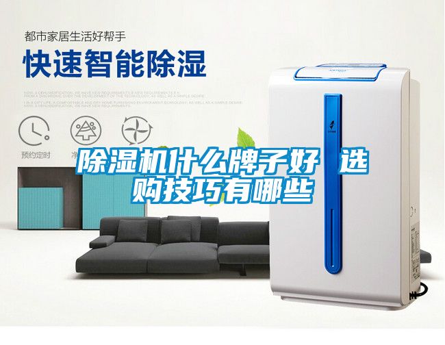 除湿机什么牌子好 选购技巧有哪些