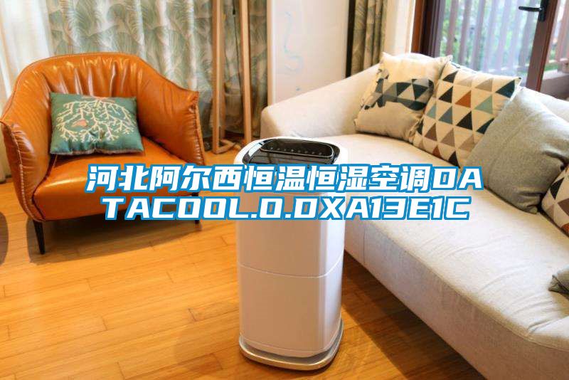 河北阿尔西恒温恒湿空调DATACOOL.O.DXA13E1C