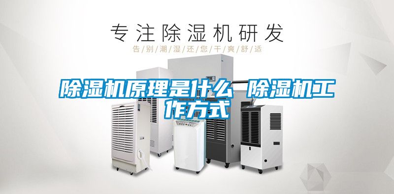 除湿机原理是什么 除湿机工作方式