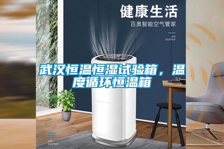 武汉恒温恒湿试验箱，温度循环恒温箱