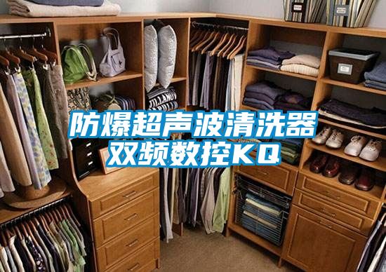 防爆超声波清洗器双频数控KQ