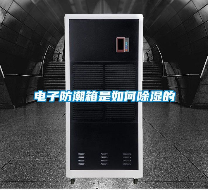 电子防潮箱是如何除湿的