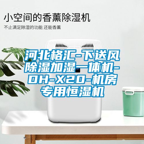 河北格汇-下送风除湿加湿一体机-DH-X20-机房专用恒湿机