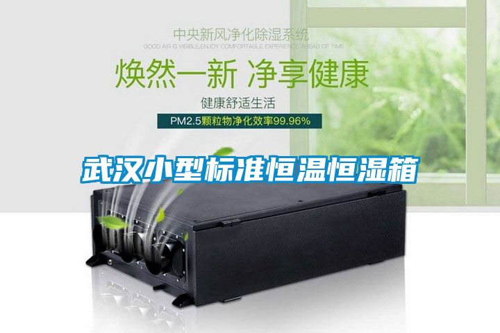 武汉小型标准恒温恒湿箱