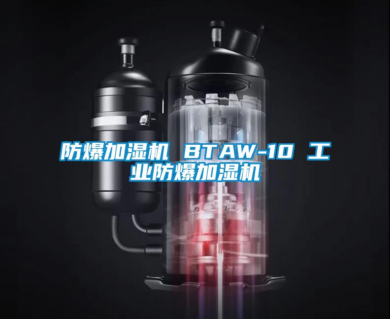防爆加湿机 BTAW-10 工业防爆加湿机