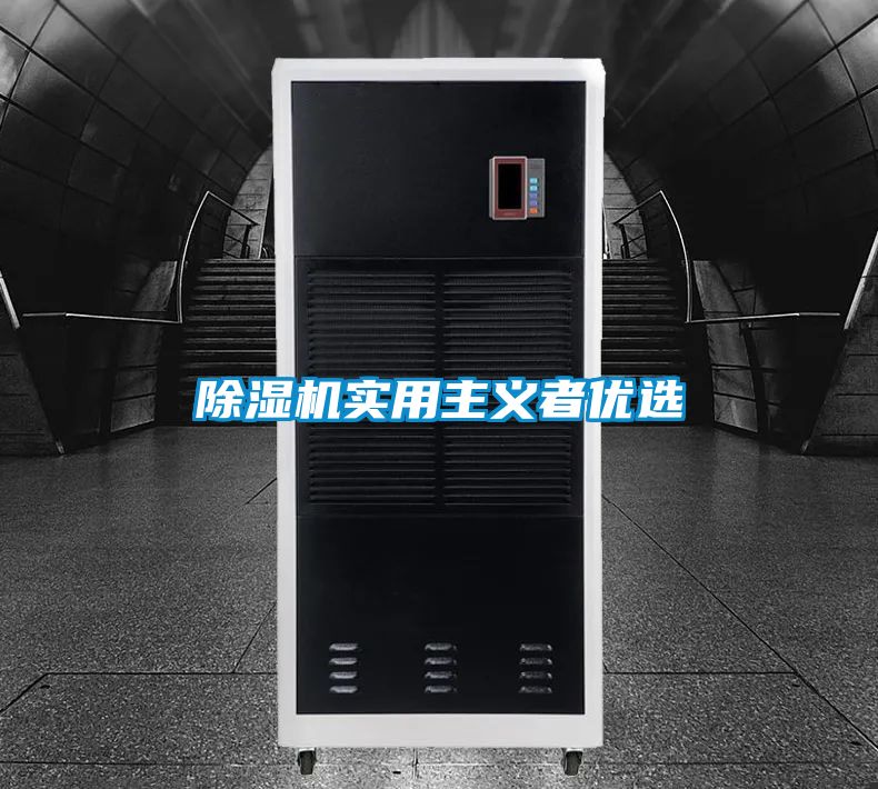 除湿机实用主义者优选