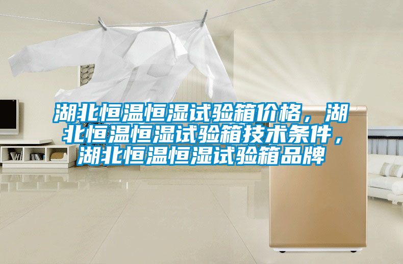 湖北恒温恒湿试验箱价格，湖北恒温恒湿试验箱技术条件，湖北恒温恒湿试验箱品牌