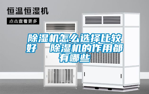 除湿机怎么选择比较好  除湿机的作用都有哪些