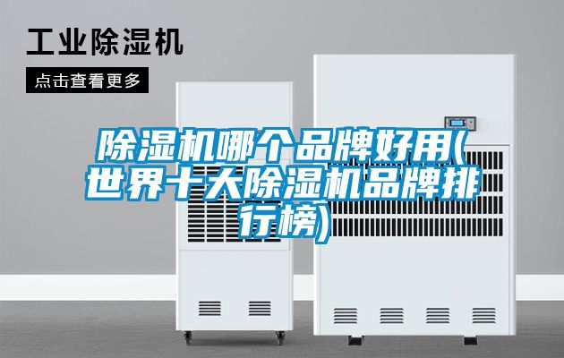 除湿机哪个品牌好用(世界十大除湿机品牌排行榜)