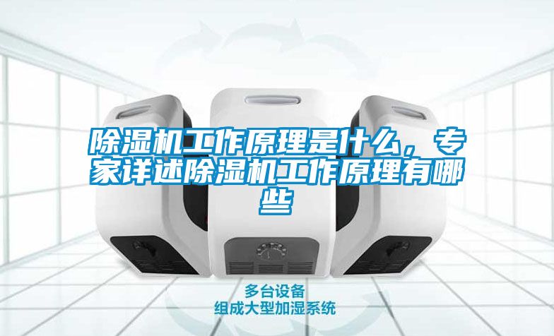 除湿机工作原理是什么，专家详述除湿机工作原理有哪些