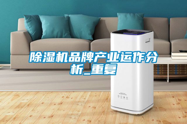 除湿机品牌产业运作分析_重复