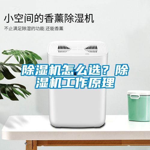 除湿机怎么选？除湿机工作原理