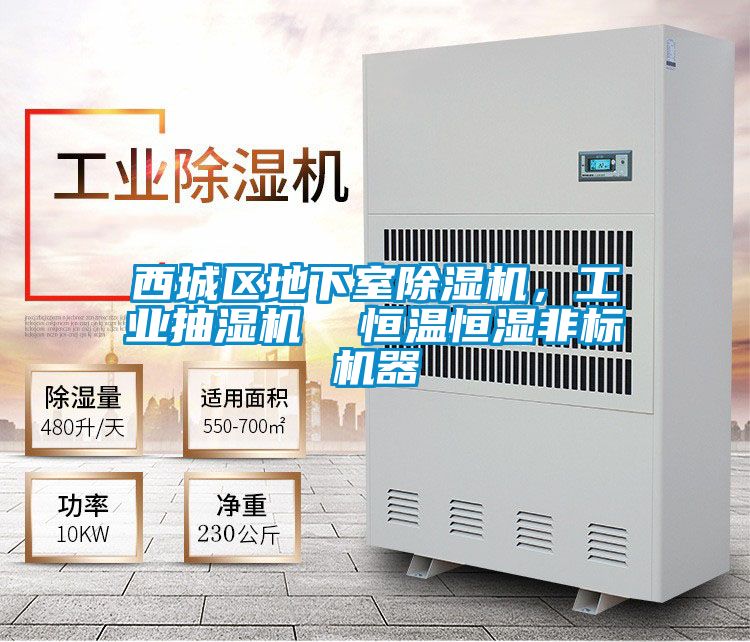 西城区地下室除湿机，工业抽湿机  恒温恒湿非标机器
