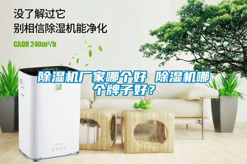 除湿机厂家哪个好 除湿机哪个牌子好？