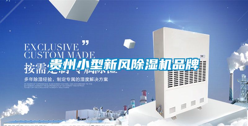 贵州小型新风除湿机品牌