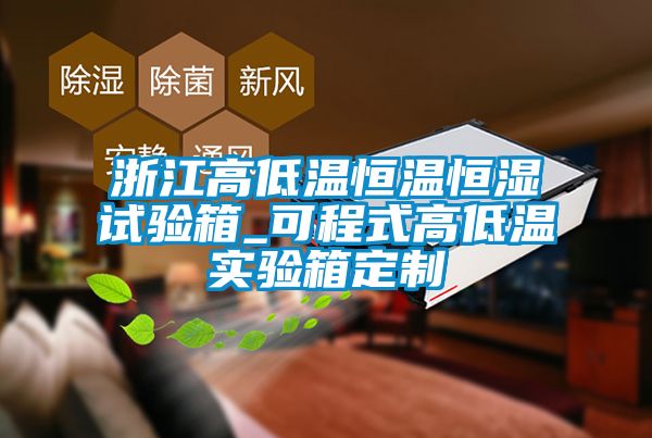 浙江高低温恒温恒湿试验箱_可程式高低温实验箱定制