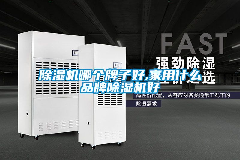 除湿机哪个牌子好,家用什么品牌除湿机好