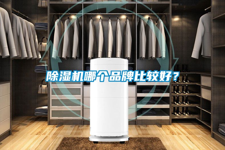 除湿机哪个品牌比较好？