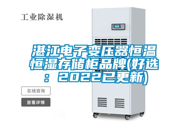 湛江电子变压器恒温恒湿存储柜品牌(好选：2022已更新)