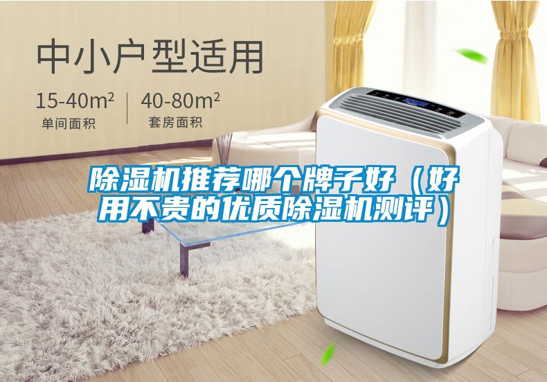 除湿机推荐哪个牌子好（好用不贵的优质除湿机测评）