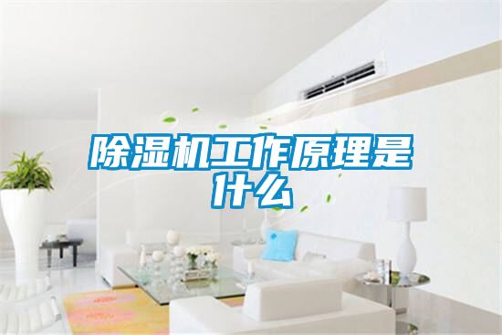除湿机工作原理是什么