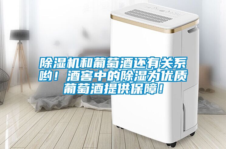 除湿机和葡萄酒还有关系哟！酒窖中的除湿为优质葡萄酒提供保障！