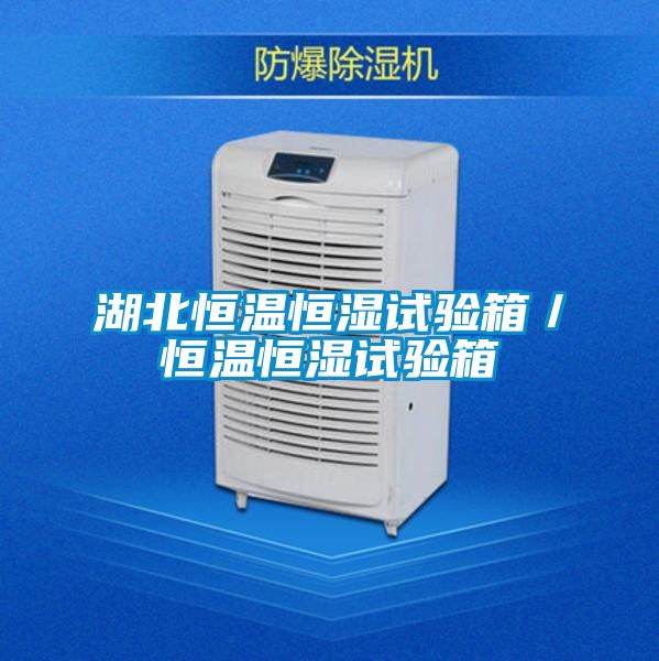 湖北恒温恒湿试验箱／恒温恒湿试验箱