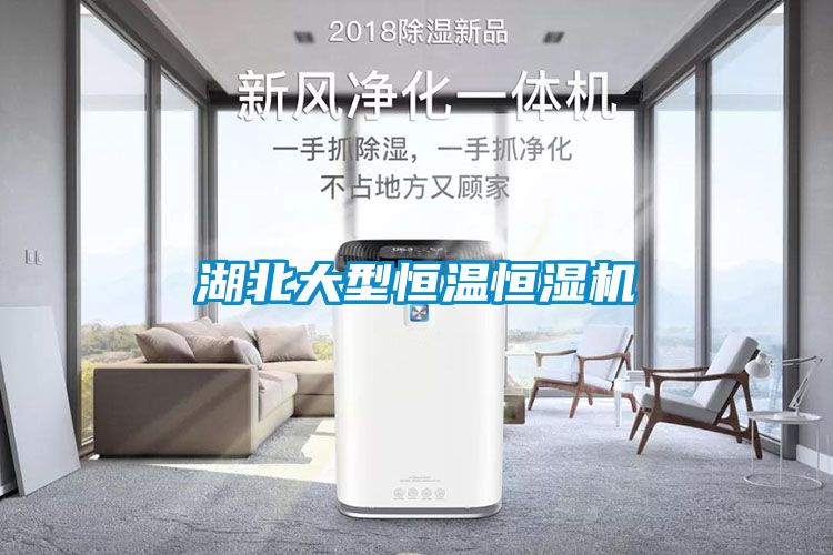湖北大型恒温恒湿机