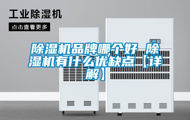 除湿机品牌哪个好 除湿机有什么优缺点【详解】