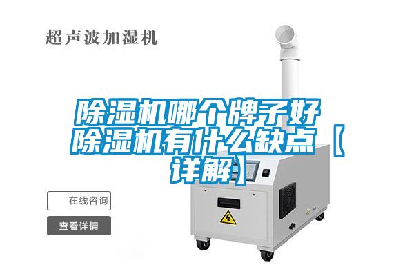 除湿机哪个牌子好 除湿机有什么缺点【详解】